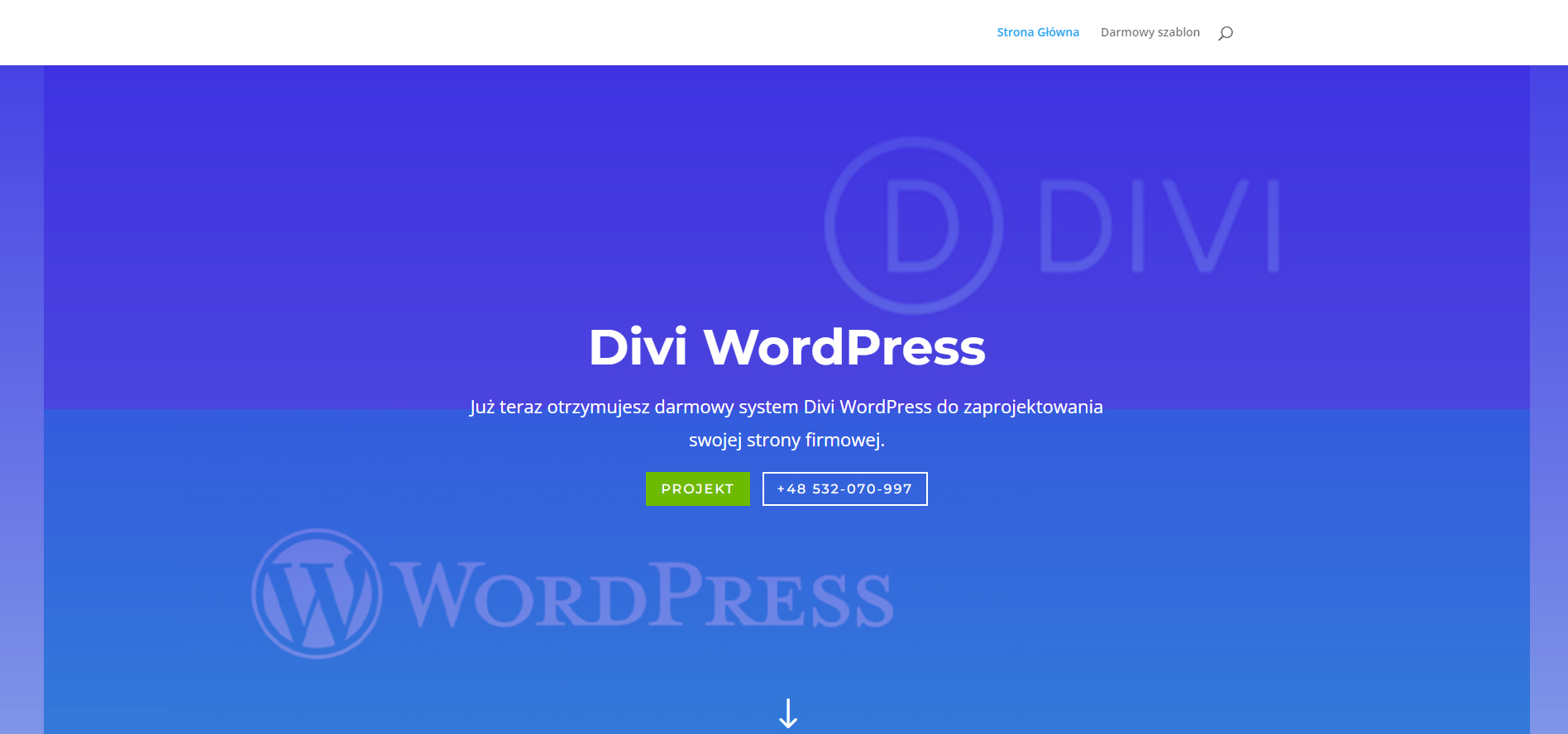 Darmowy WordPress plus szablon Divi