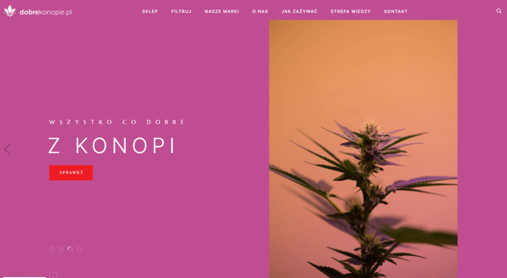 Pozycjonowanie sklepu dobrekonopie.pl